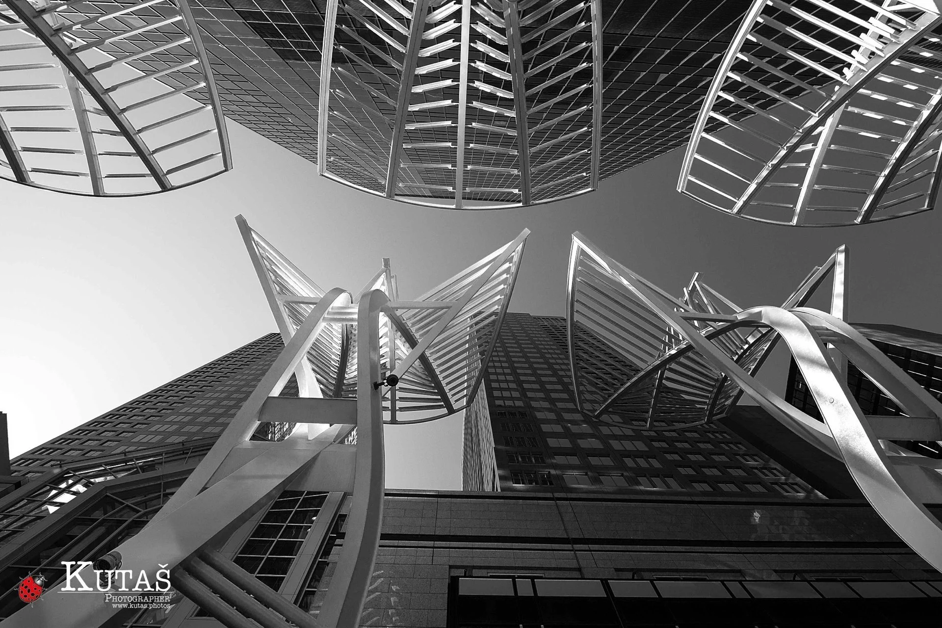Fine Art & Conceptual photography