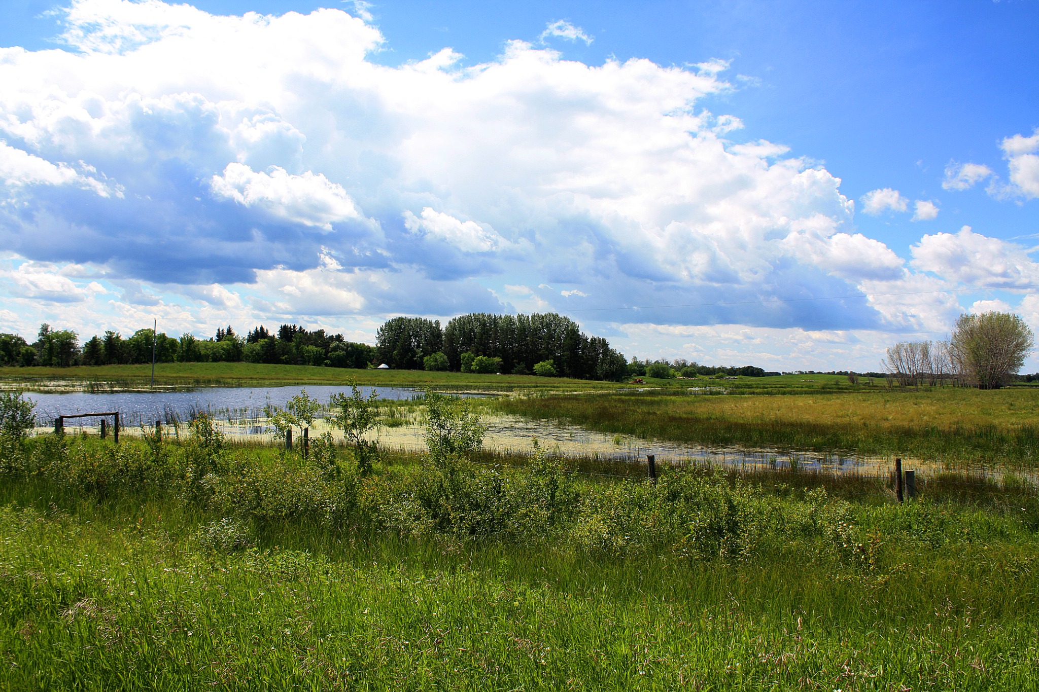 Landscape photography