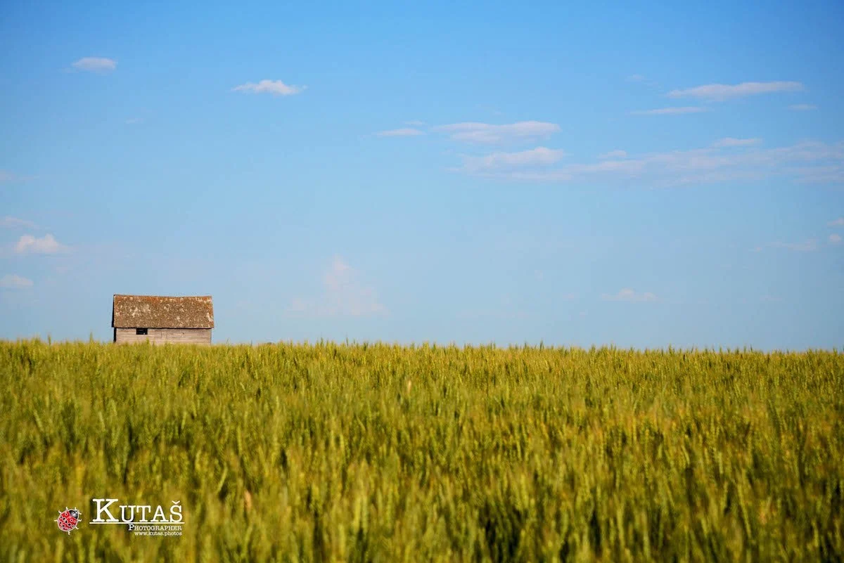 Landscape photography