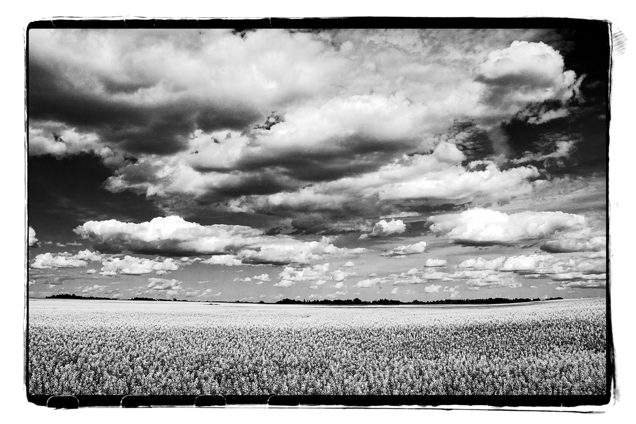 Landscape photography