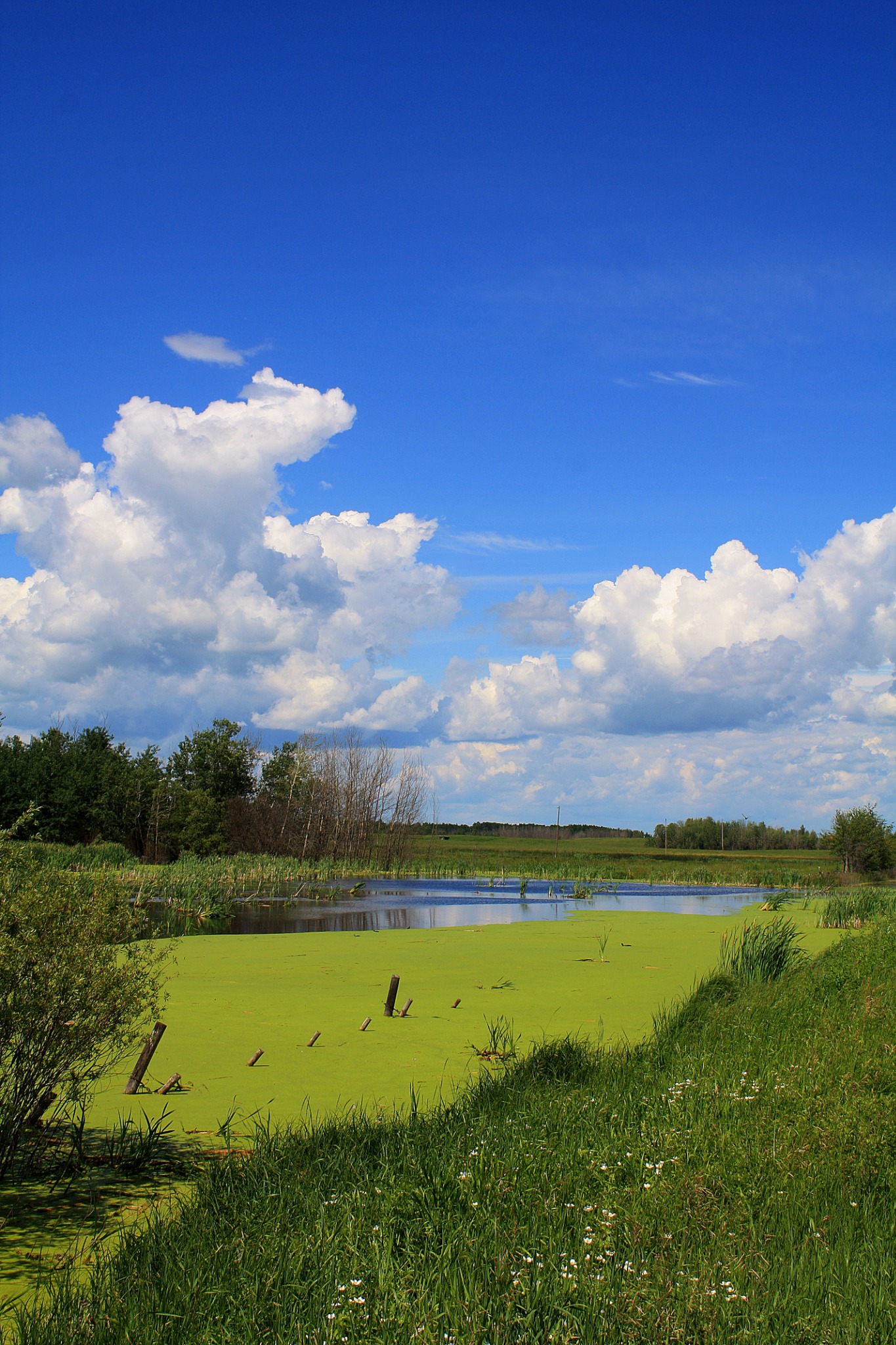 Landscape photography
