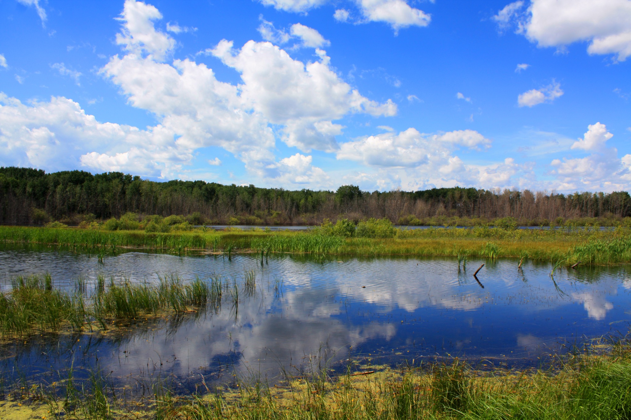 Landscape photography