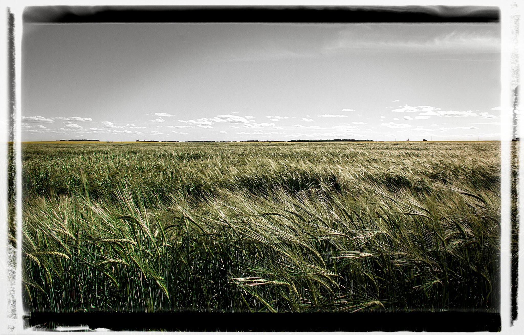 Landscape photography