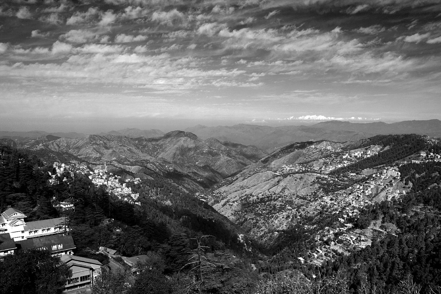 Shimla