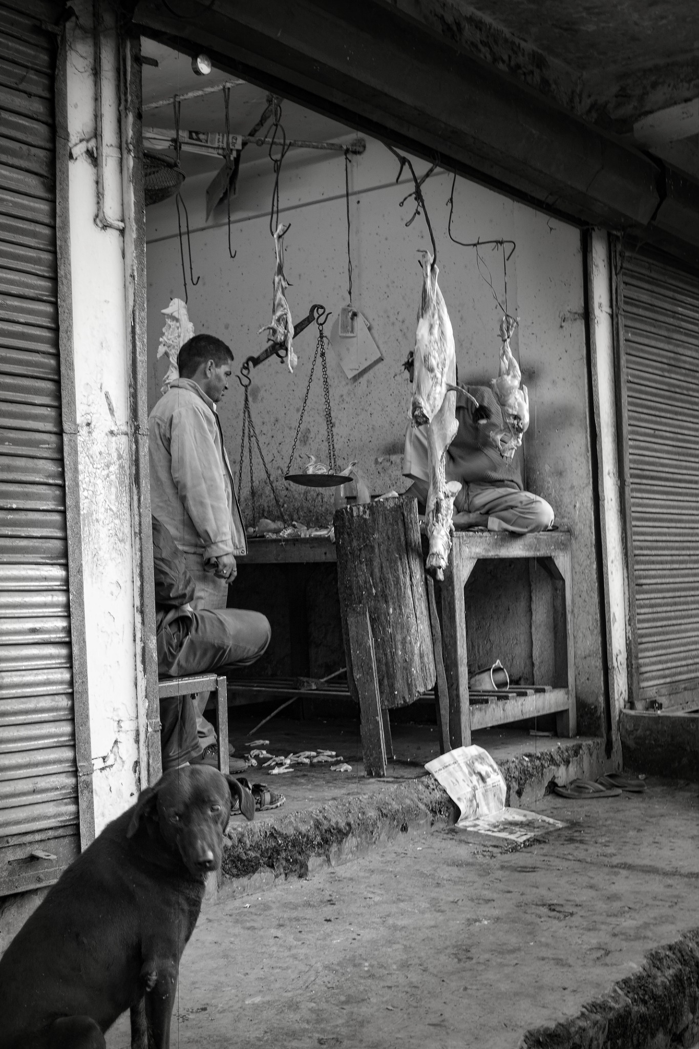 Press / Street photo photography