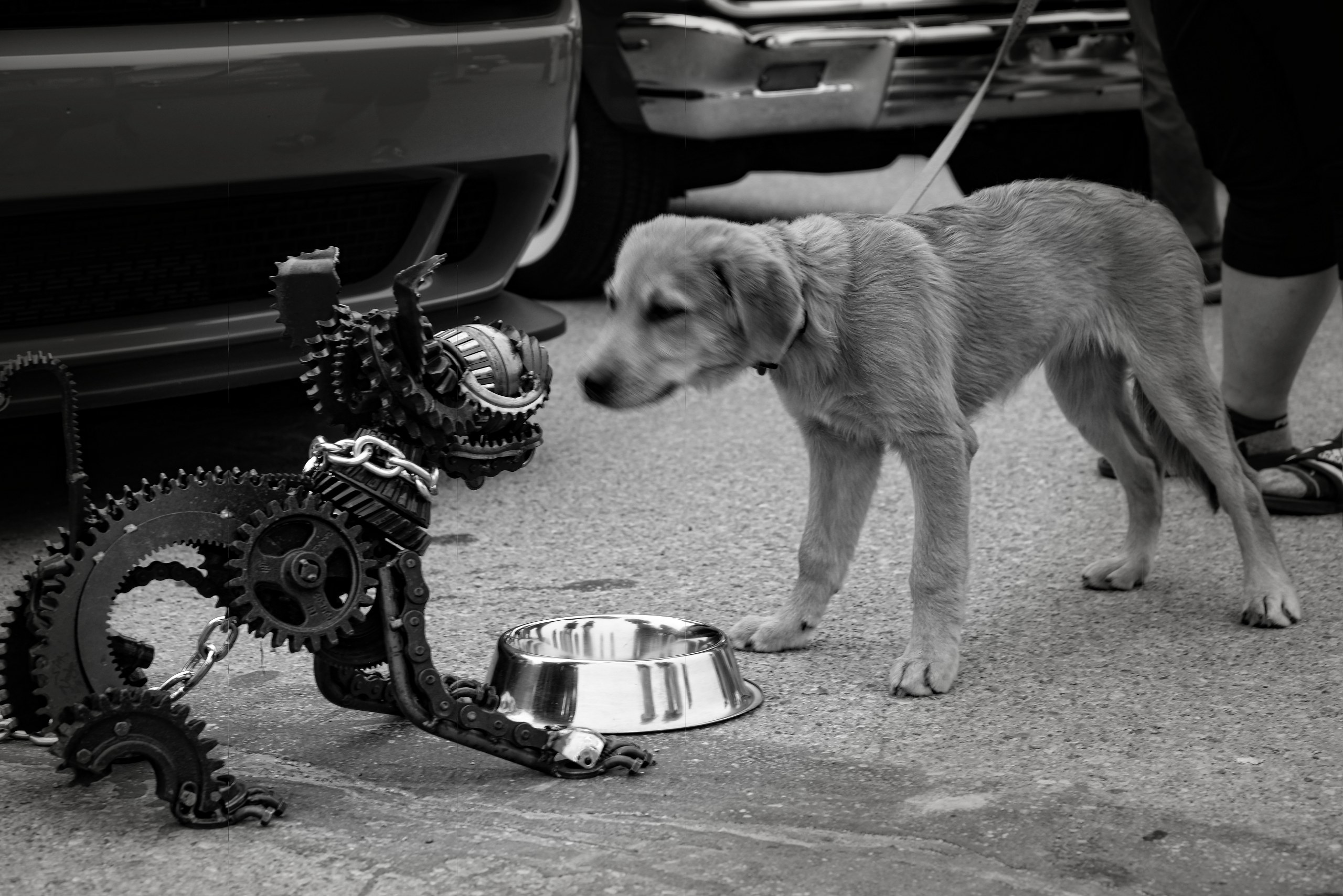 Press / Street photo photography